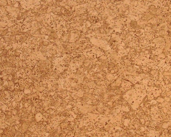 Anti Slip Tiles Image