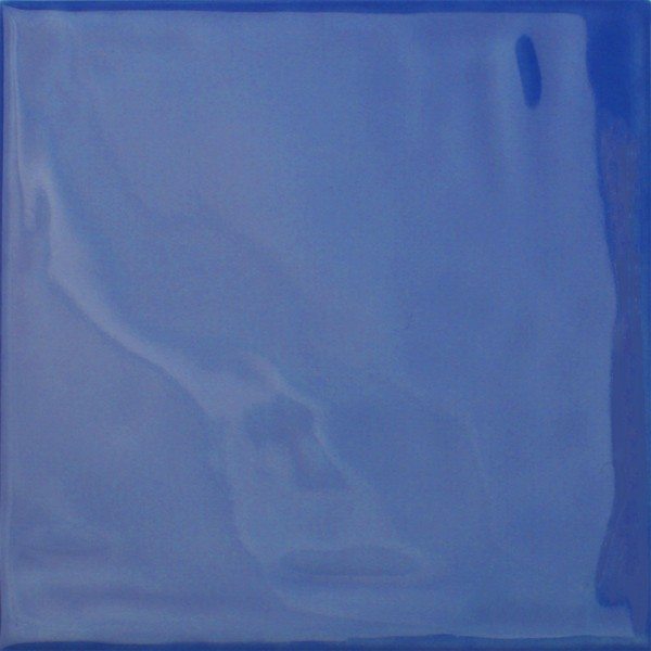 Blue Floor Tiles Home Design