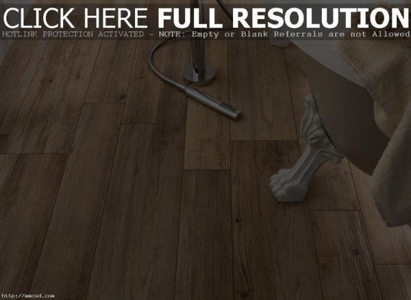 Ceramic Tile That Looks Like Wood Interior Design