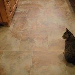 Heated Tile Floor Picture