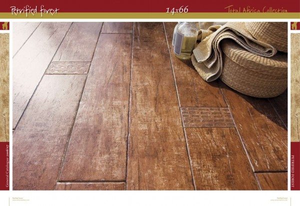 Porcelain Tile That Looks Like Wood Example