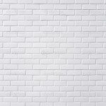 White Brick Tiles Home Design