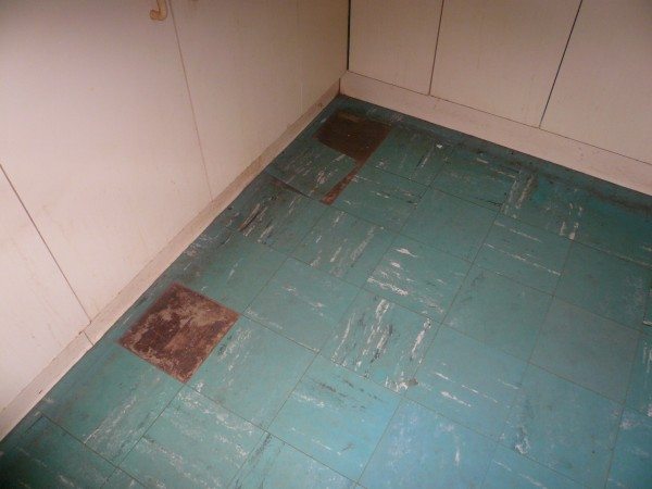 Vinyl Floor Tiles Home Design